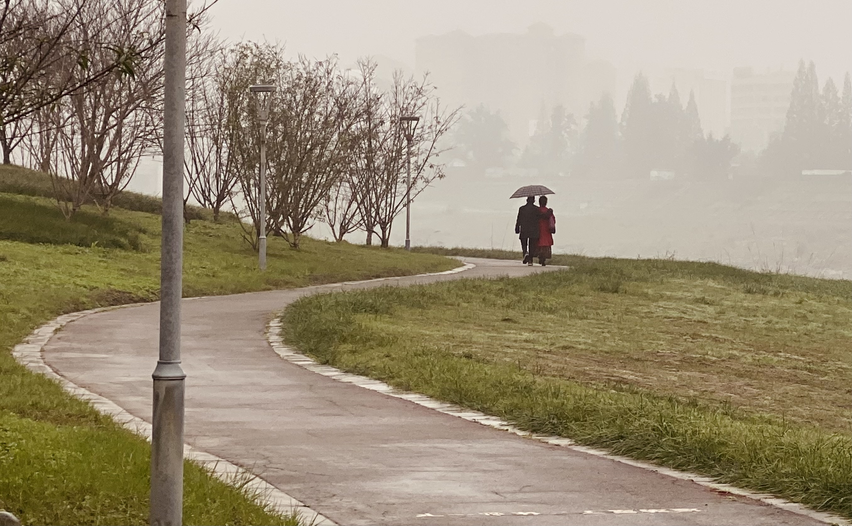烟雨中的同行者：岁月见证的爱情