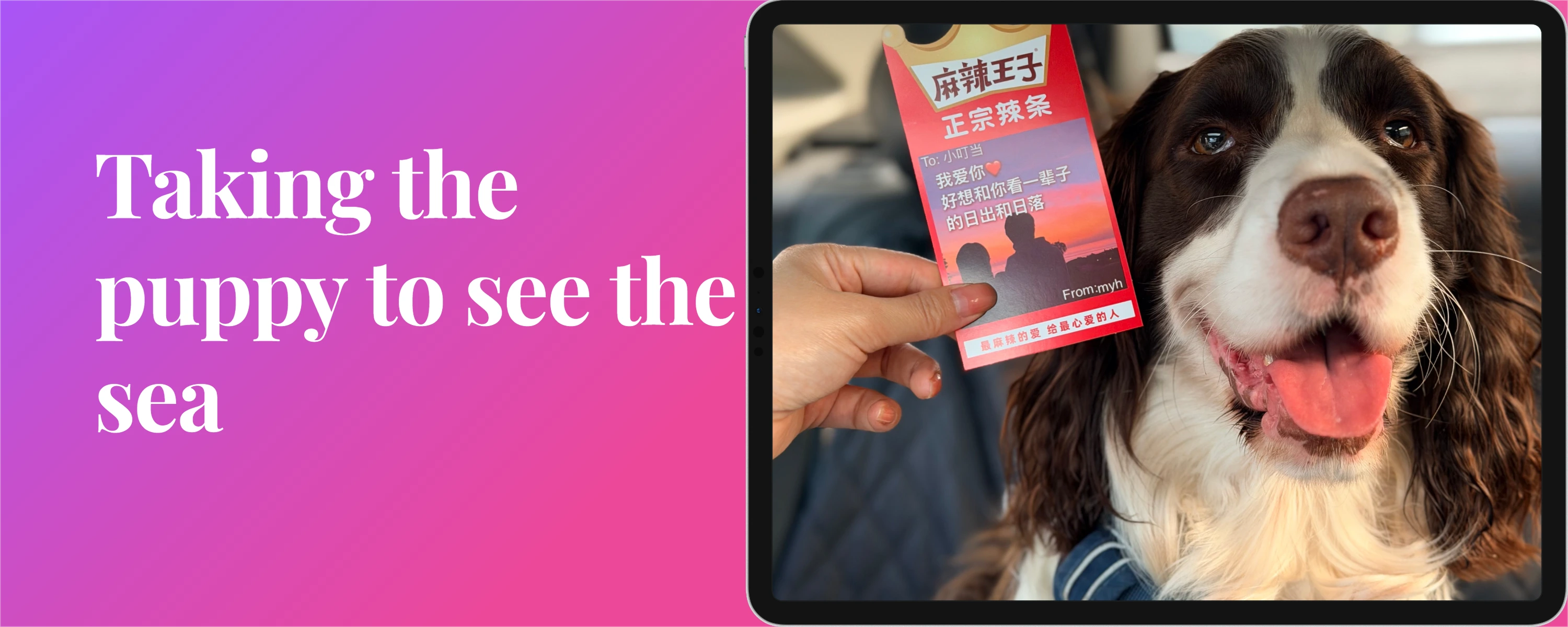 消失的我——最近都在做什么？