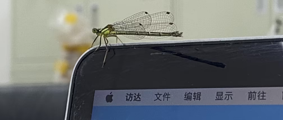 无中生有，我们都是神笔马良